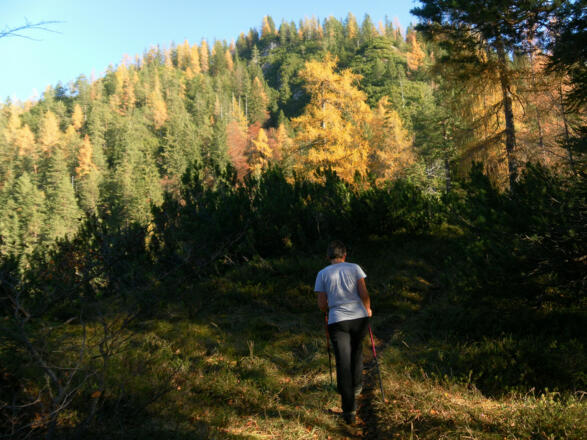 Abflachung vor dem Saliterköpfl