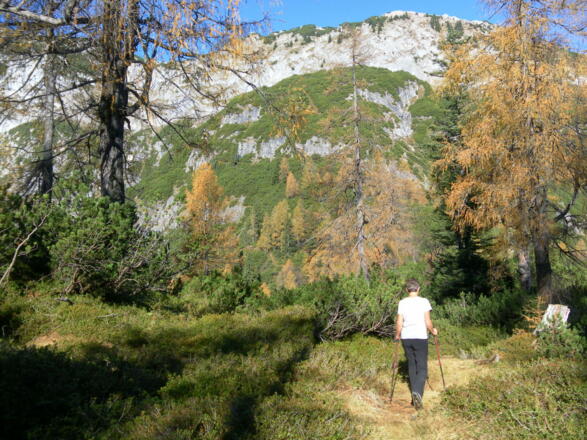 am Hochbergrücken vor Bärenkopf und Brandlkogel