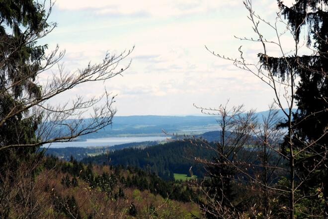 Moldaustausee, Forststraße ~1020m beim Abstieg
