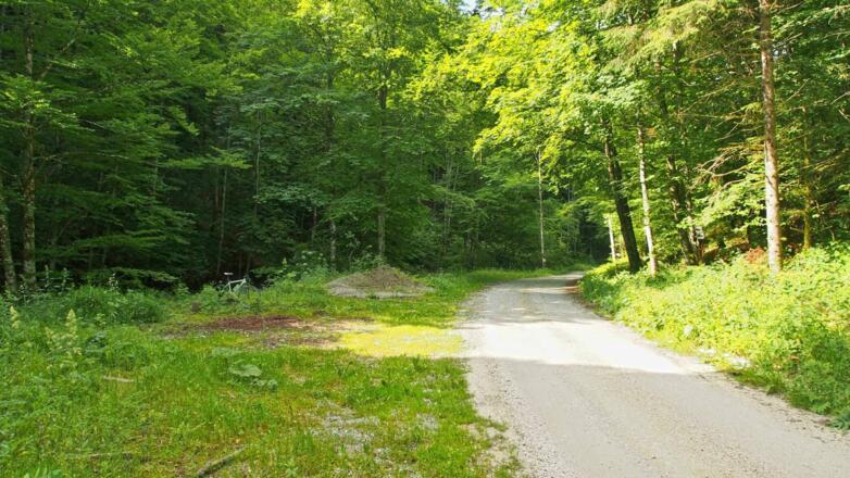 Letzte Parkmöglichkeit in der Welchau
