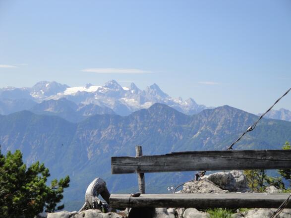 Am Elferkogel - Im Hintergrund der Dachstein