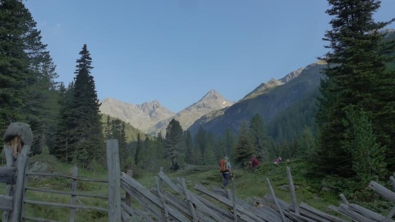 Pfadabzweig recht von der Forststrasse