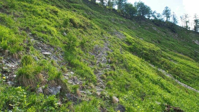 Schrofenquerung im oberen Bereich