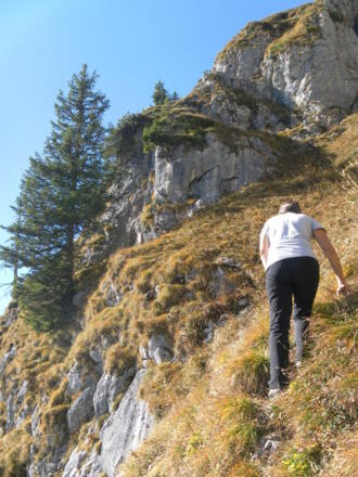 steile Grasmatten vor der Gedenktafel oberhalb des Baums