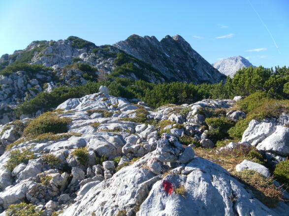 Brandlhorn (letzte Graterhebung rechts) aus dem Sattel