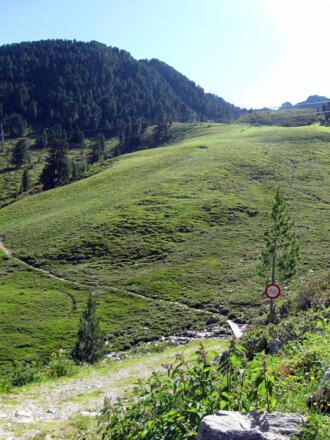 Ab hier beginnt der schöne Teil der Wanderung. Man verlässt das Schigebiet über diesen Steig und begibt sich in duftende Zirbenwälder.