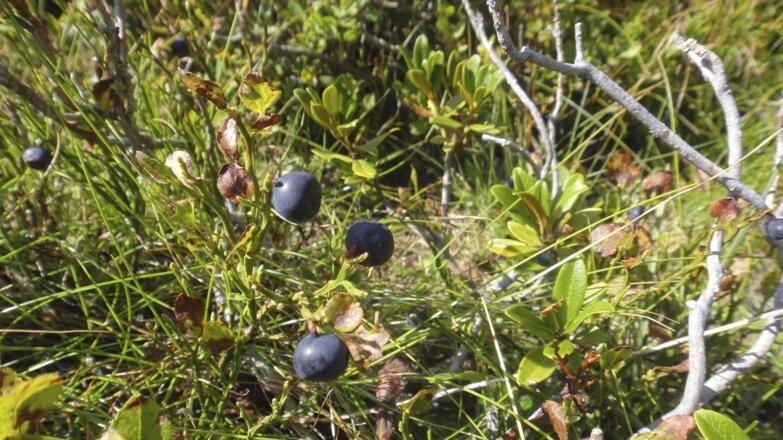 Gemütlicher Ausklang....