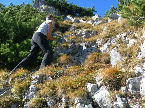 Grasschrofenrinne zum Sattel