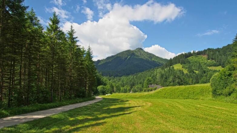 In der Welchau, im Hintergrund der Ramsauer Größtenberg