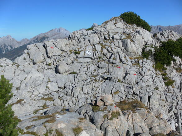 Abstieg rechts über Hochgang. Normalweg links.