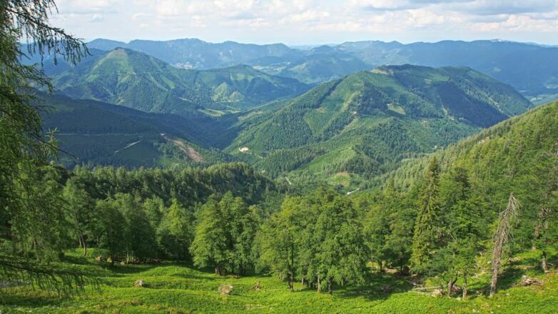 Rückblick in die Welchau