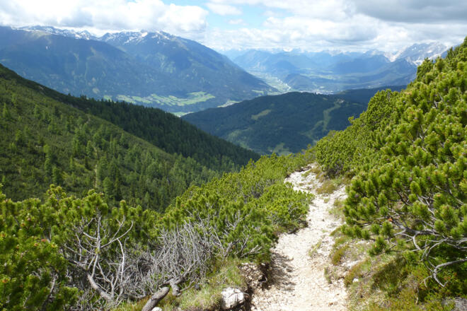 Ab durch die Latschen