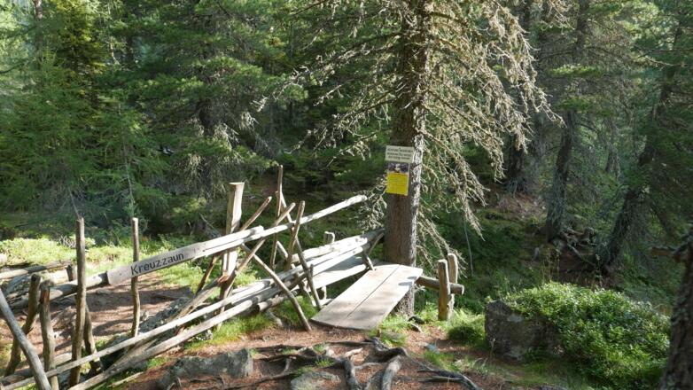 Unterhalb der Hofalm