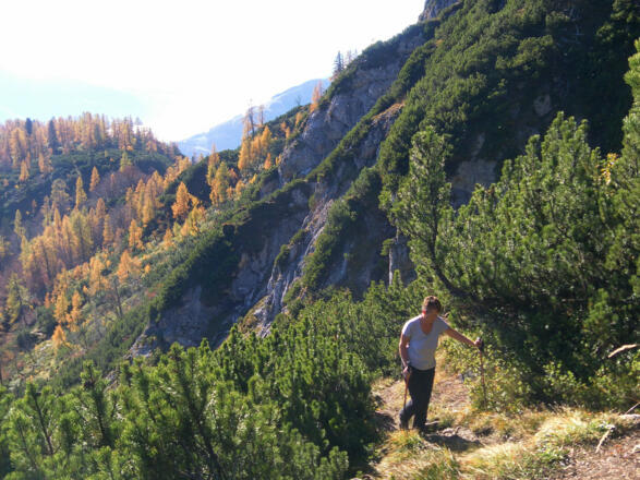 Latschengassen östlich des Bärenkopfs