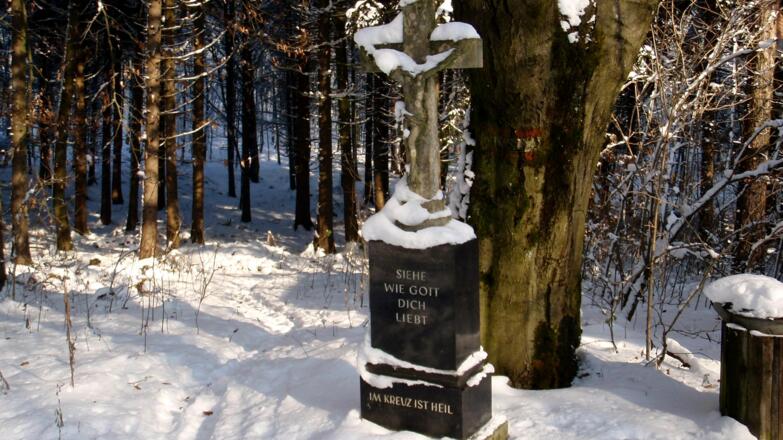 Wegkreuzung, Marterl 475m (Winteraufnahme)