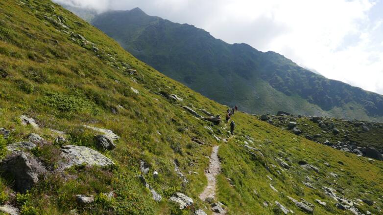 Der Wiesenweg Richtung Steinkar