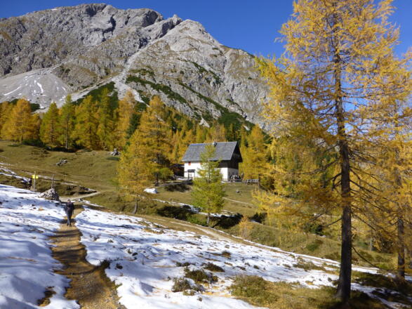 Die Kerschbaumer Alm (1902 m) 