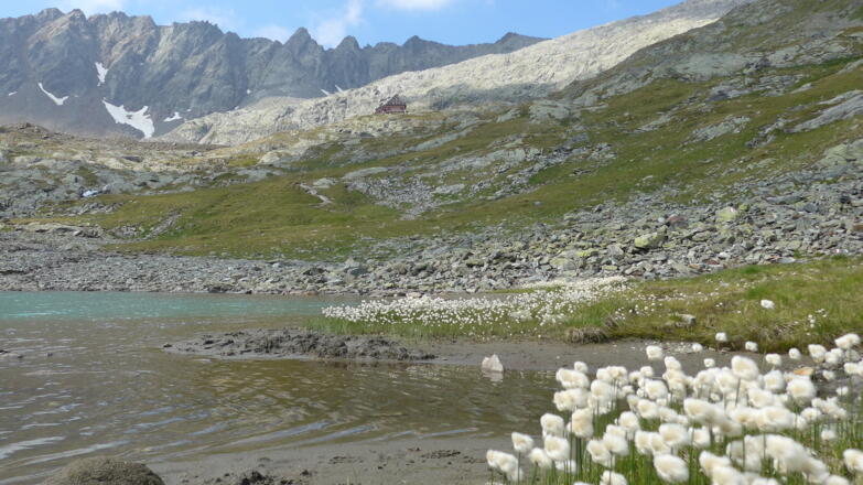 Blick zurück zur Hütte