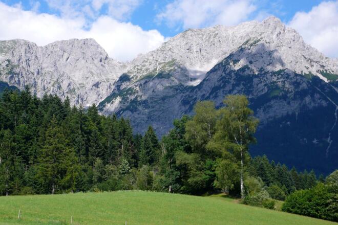 Treffauer und Sonneck