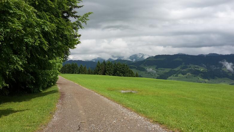 Güterweg Richtung Hochsträss