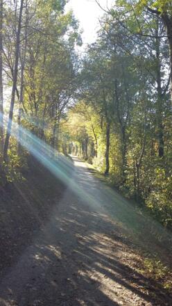 Schöner Weg entlang der Brixentaler Ache