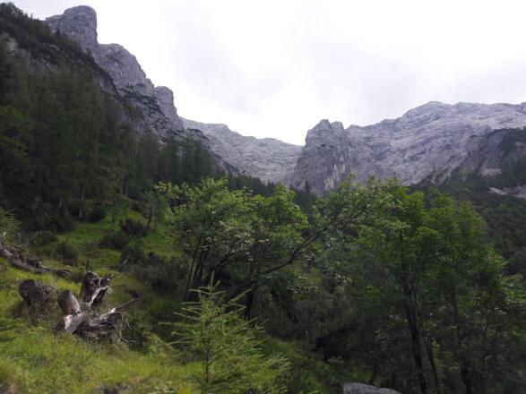 Der phantastische Blick zurück