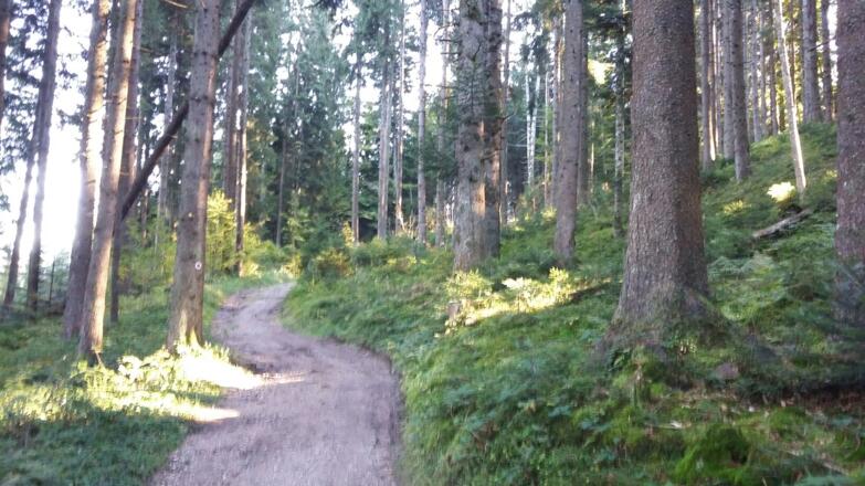 Zum Gipfel führt kein offizieller Radweg