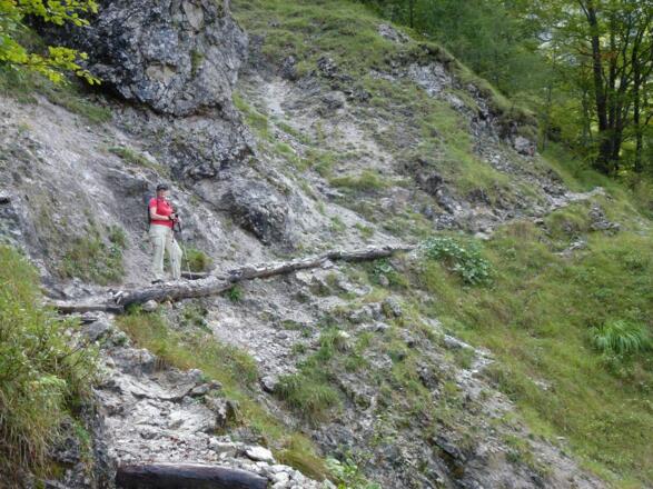 Der Weg führt anfangs durch einen schönen Bergwald.
