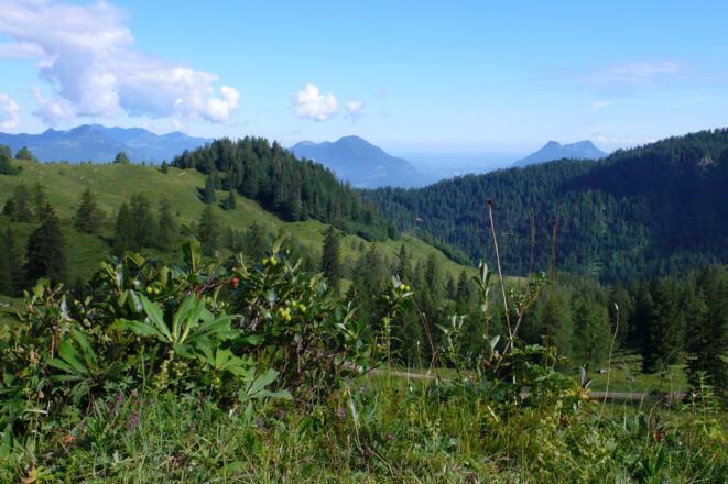 Blick ins Inntal Richtung Rosenheim