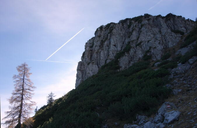 Nordseite Roßschopf WEG 433