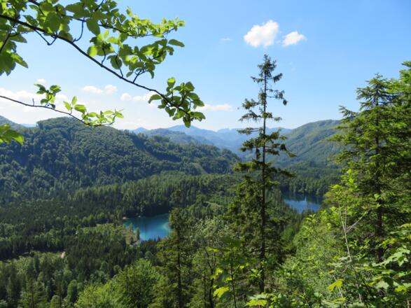 Blick vom Ring-Herrentisch zu den Ödseen