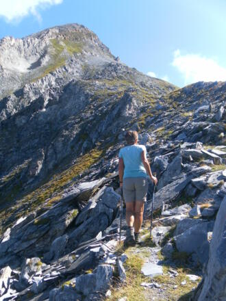 plattiger Wiesenkamm