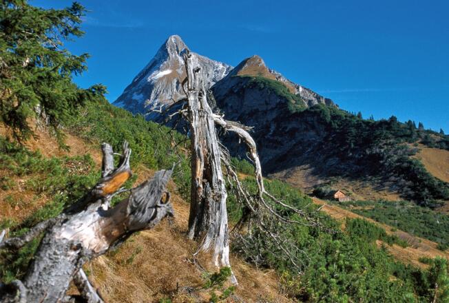 Wer setzt sich schon ins Kino, wenn in freier Natur der Kolm mit 360° wartet
