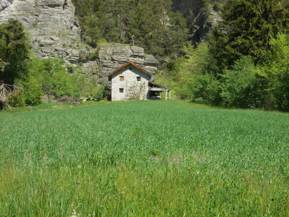 Mark Mühle am Aster Hof