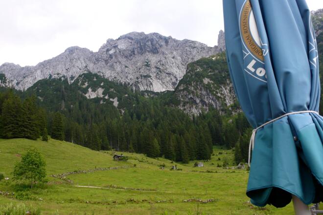 Blick zum Scheffauer