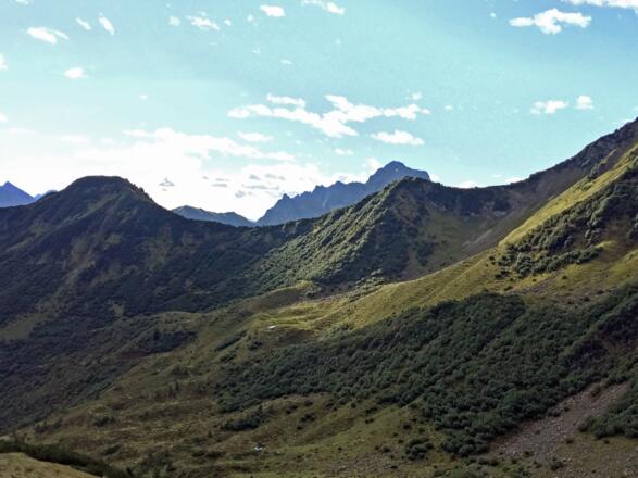 Blick zur Ochsenhofscharte und zum Widderstein
