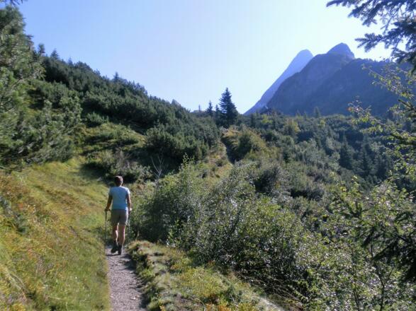 Kolmhaus und Kolm etwas versteckt