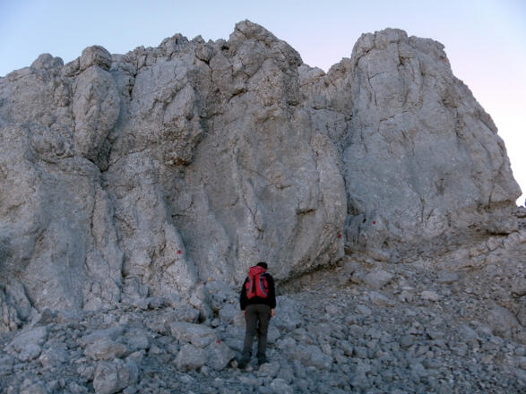 am Gipfelstock des Westl.Reifhorns