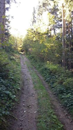 Der Weg zum Gipfel ist ohnehin nur schwer fahrbar