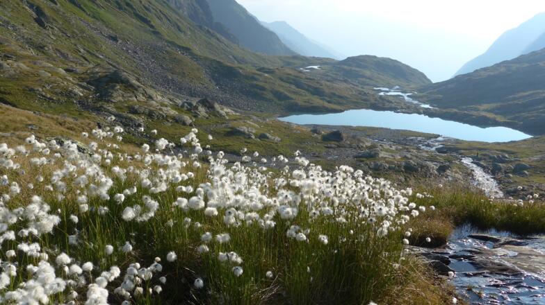 Blick von der Hütte zum Mittersee