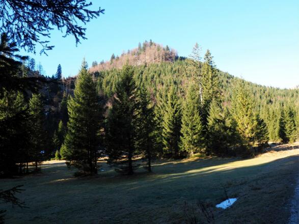 Sonnspitz 1263m von Kaltau gesehen