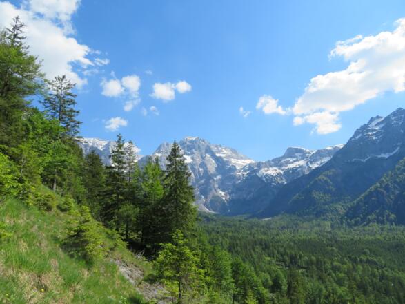Blick zum Toten Gebirge