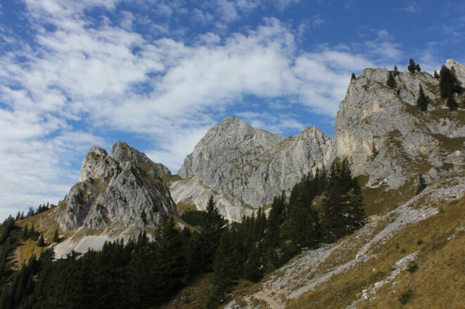 Blick Richtung Köllenspitze