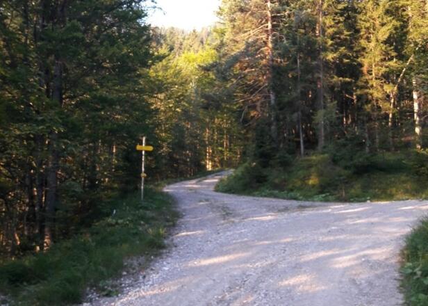 Wegweiser im unteren Teil