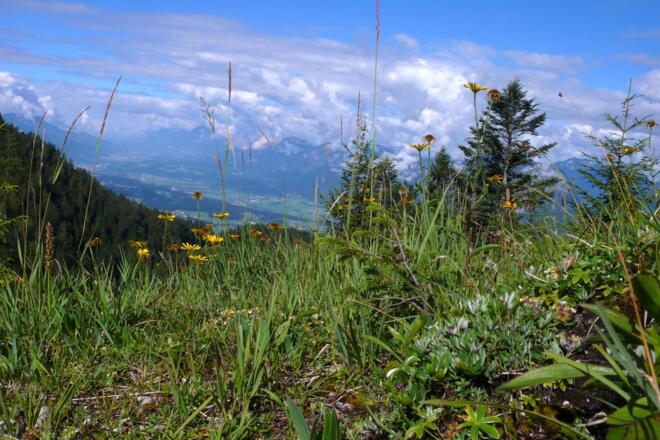 Blick ins Inntal Richtung Innsbruck