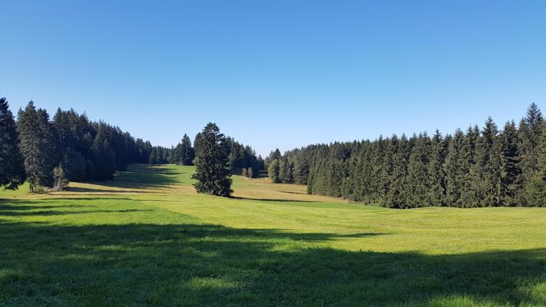 Hochsträss Sulzberg