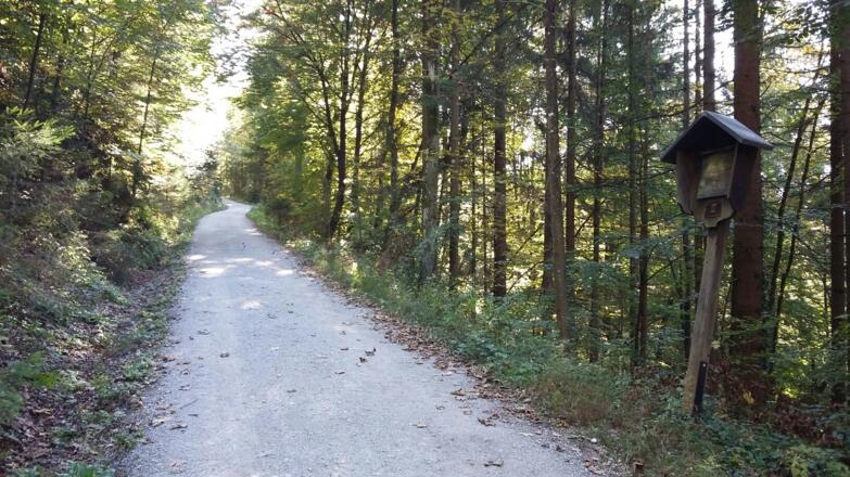 Entlang vom Kreuzweg zur Möslalm