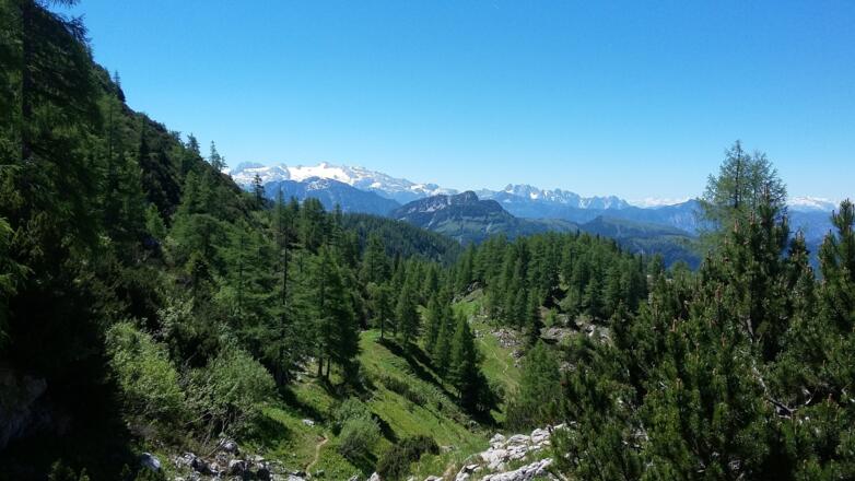 Blick zum Dachstein und Gosaukamm