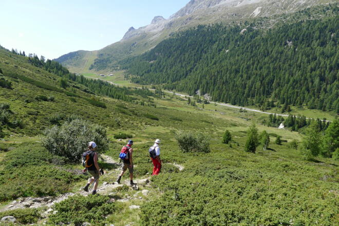 Beim Abstieg, im Hintergrund die Staller Alm