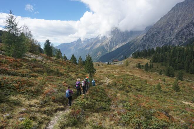 Kurz vorm Staller Sattel